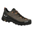 Salewa alp trainer 2 gtx bungee cord black