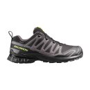 Salomon XA PRO 3D V9 GTX Black / Dark Gull Gray