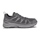 Lowa INNOX EVO II GTX grau/grau